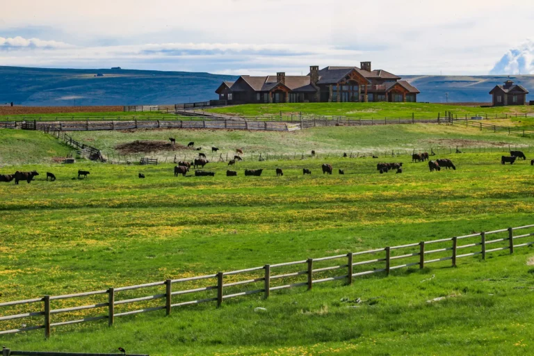 Joseph Oregon Ranch Luxury home with peaceful pasture and cattle grazing