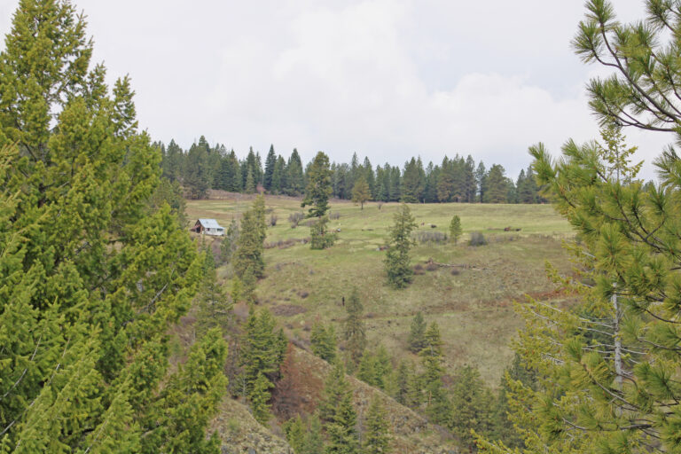 Distant cabin in view