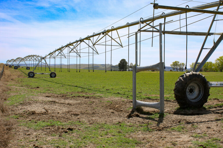 Irrigation pivot at Homedale Alfalfa Farm