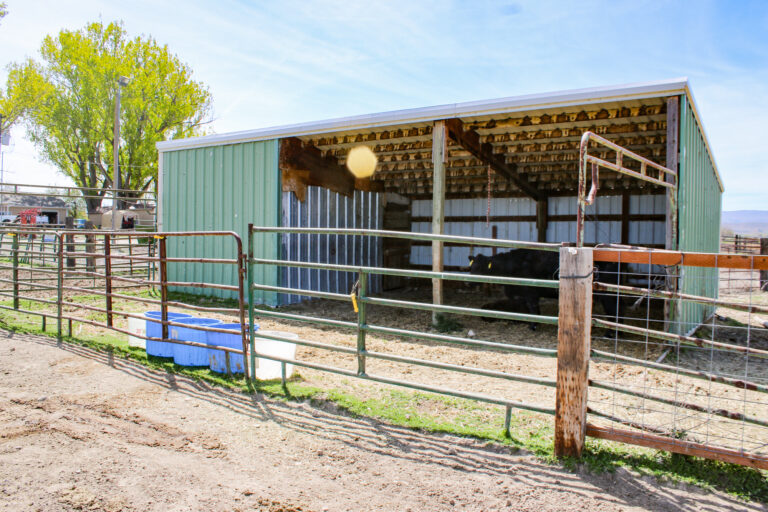 Homedale Cattle Ranch barn
