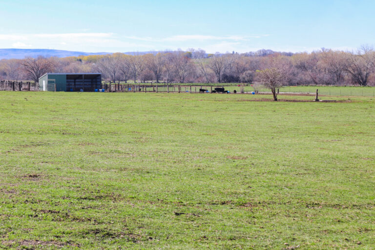 pasture and livestock shelter