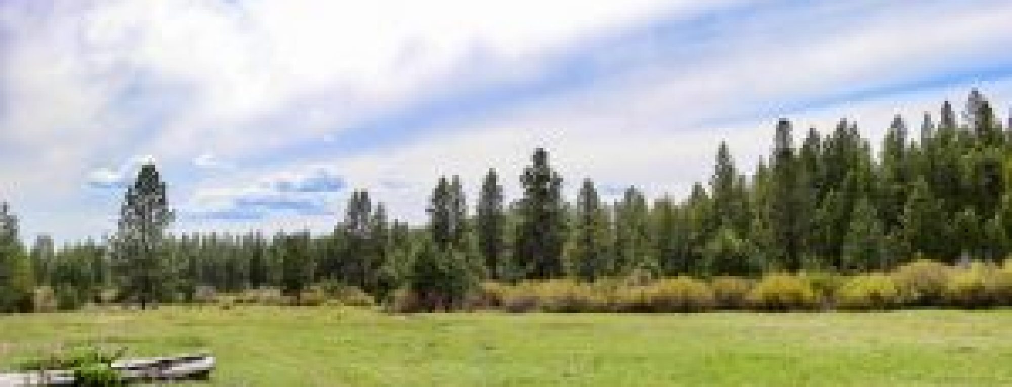 Cascade-Timber-Ranch-7289-300x200