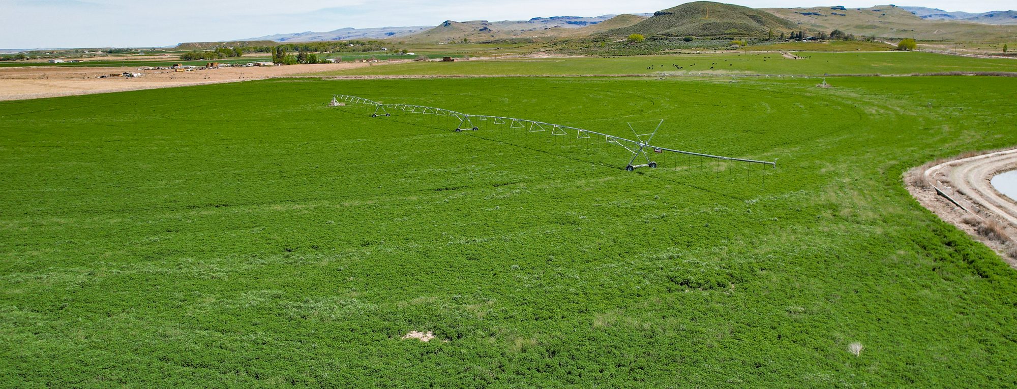 Homedale Alfalfa Farm irrigation pivot and Owyhee mountain views