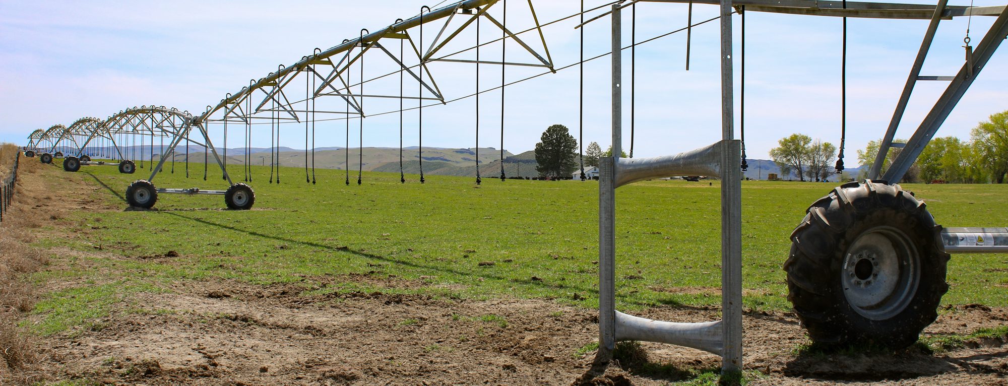 Irrigation pivot at Homedale Alfalfa Farm