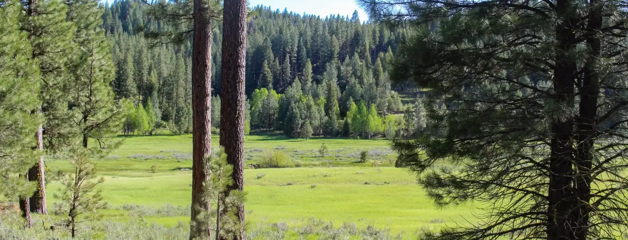 Trail-Creek-Meadows-Ranch-0914