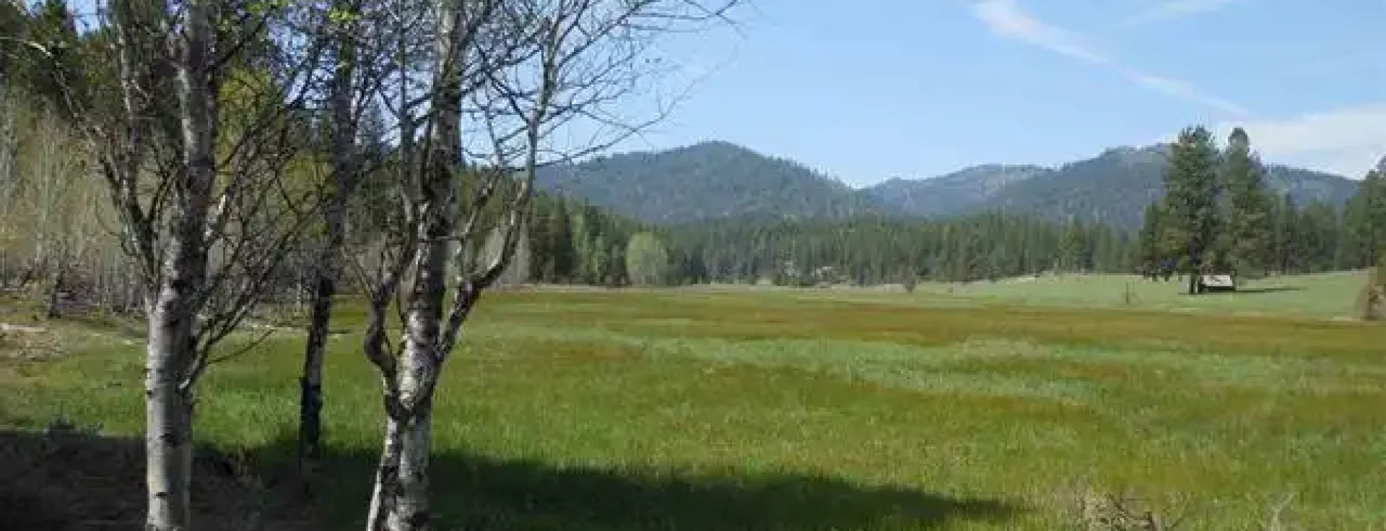 Trail-creek-meadow-ranch-forsale
