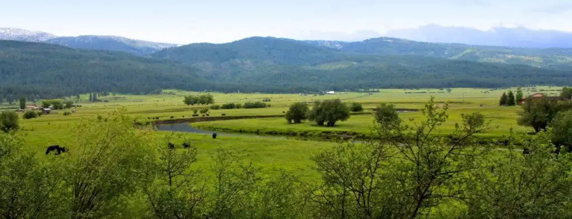 hot-springs-ranch-for-sale-new-meadows-idaho6