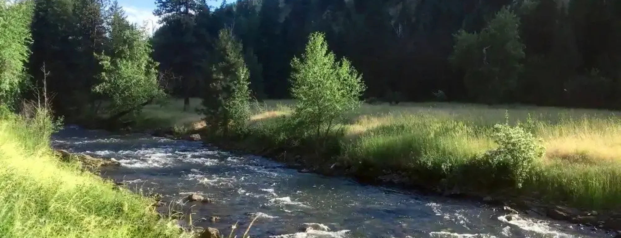 lostine-river-timber-tract-for-sale-wallowa-county-oregon