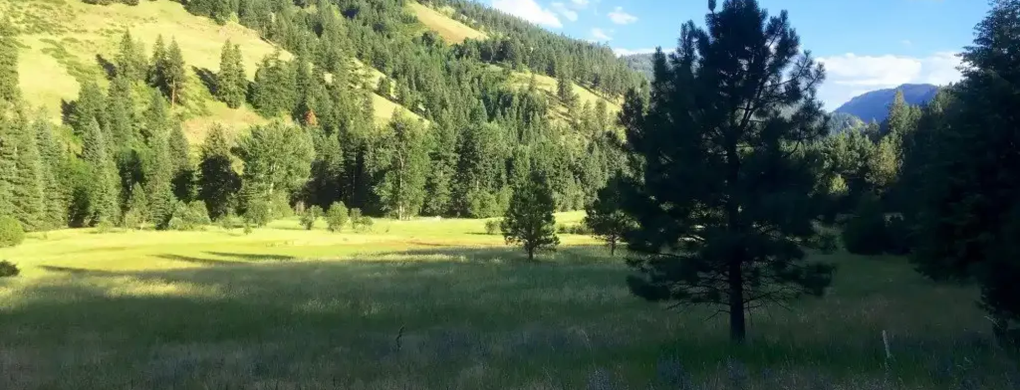 lostine-river-timber-tract-for-sale-wallowa-county-oregon11