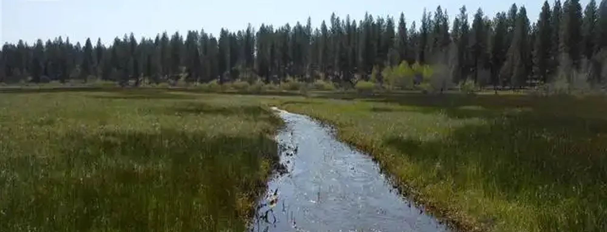 trail-creek-meadow-ranch-for-sale